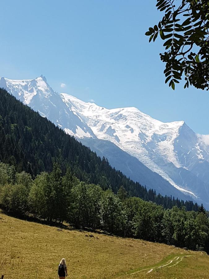 Appartement Typique,Chaleureux Et Pratique Chamonix Luaran gambar