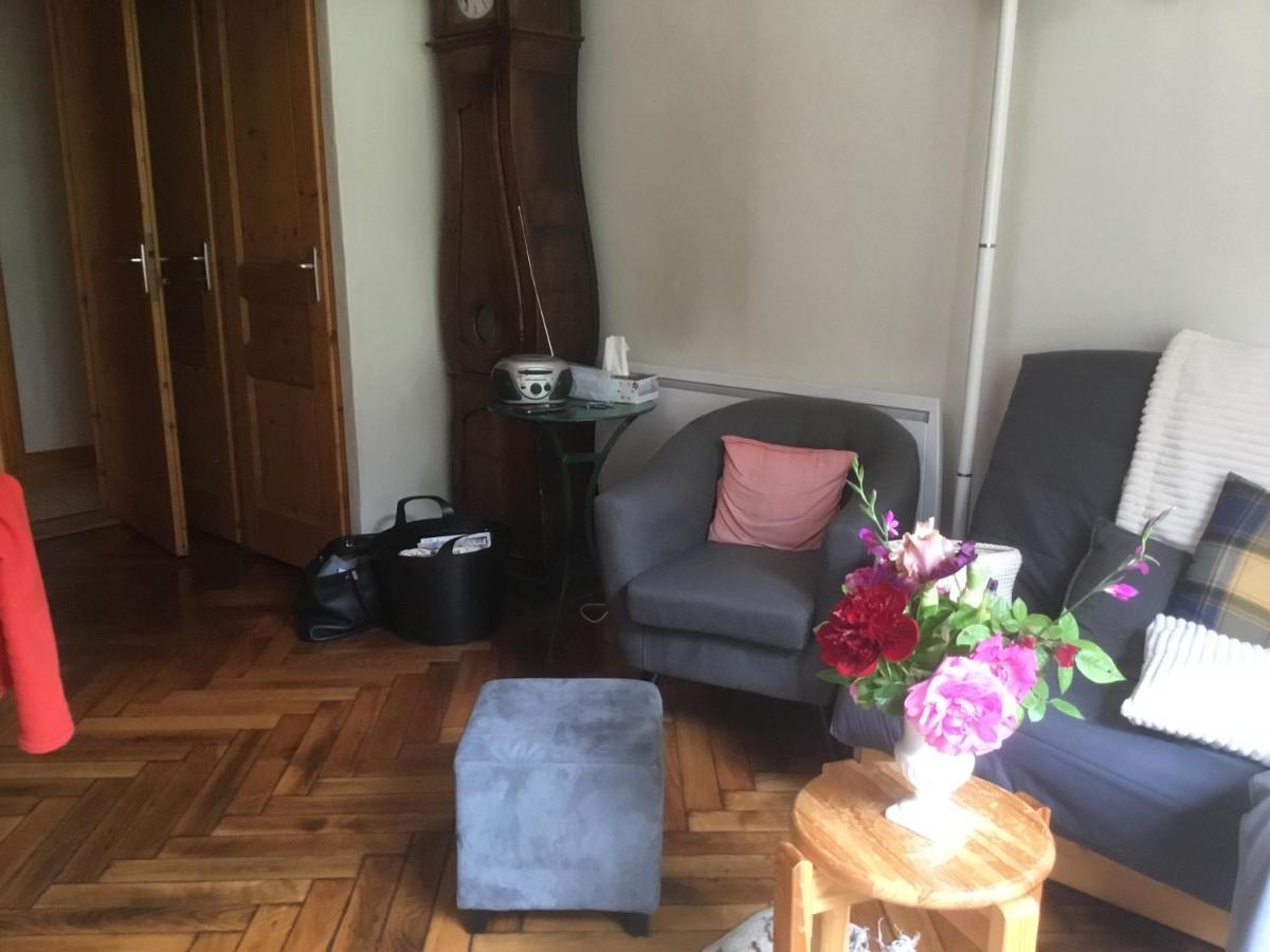 Appartement Typique,Chaleureux Et Pratique Chamonix Luaran gambar
